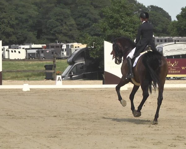 CDI**** Leudelange (LUX) 2018
