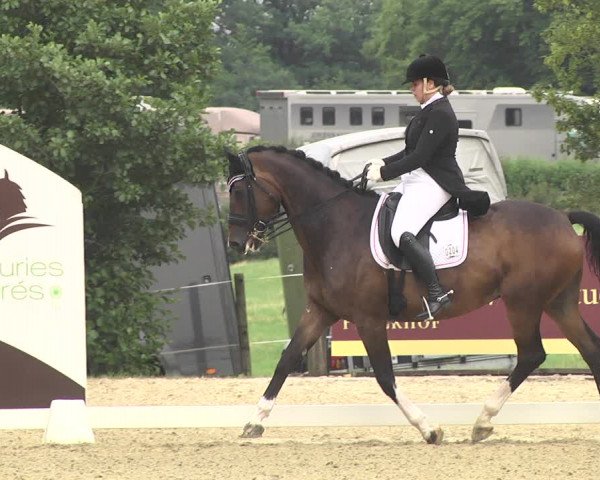 CDI**** Leudelange (LUX) 2018
