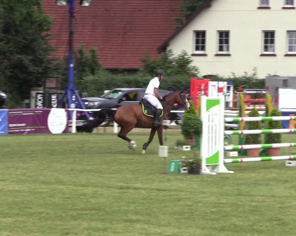 Steinhagener Reitertage 2018