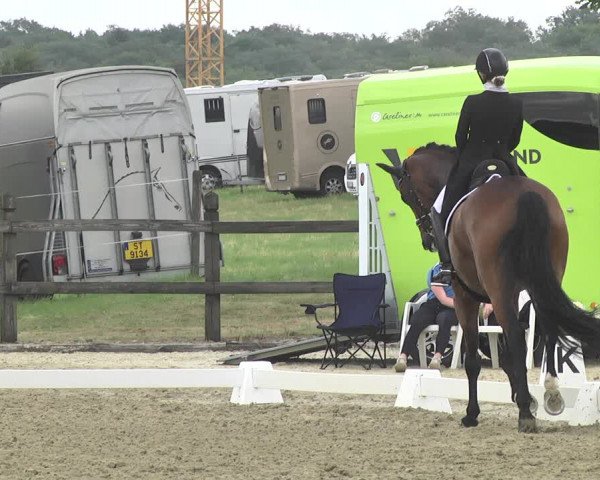 CDI**** Leudelange (LUX) 2018