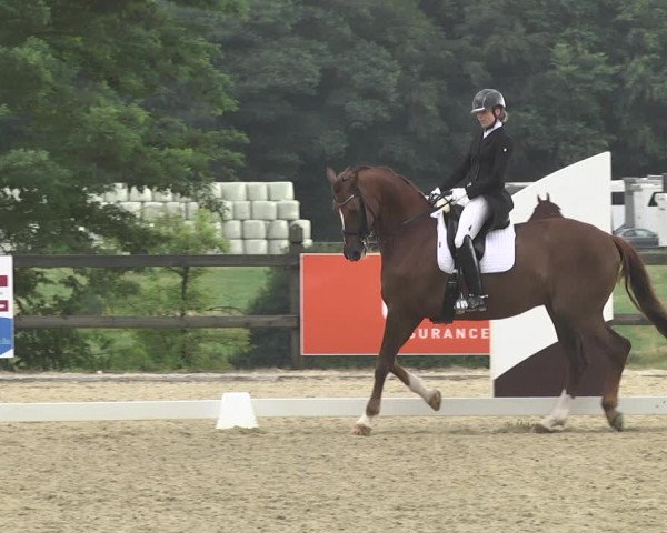 CDI**** Leudelange (LUX) 2018