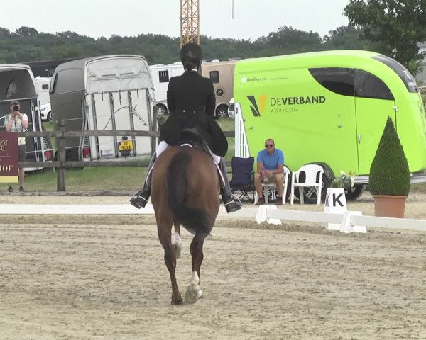 CDI**** Leudelange (LUX) 2018