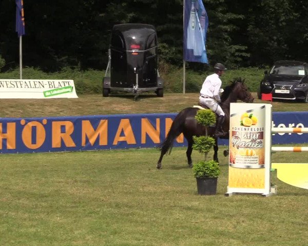 Steinhagener Reitertage 2018