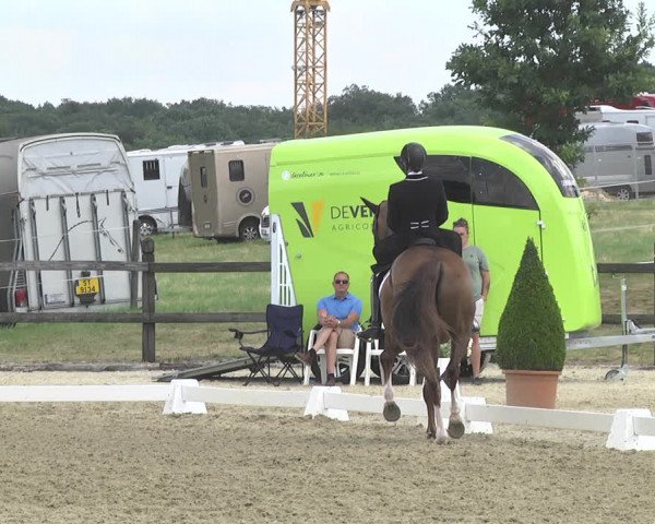 CDI**** Leudelange (LUX) 2018