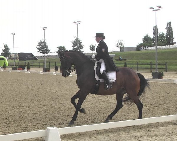 CDI**** Leudelange (LUX) 2018