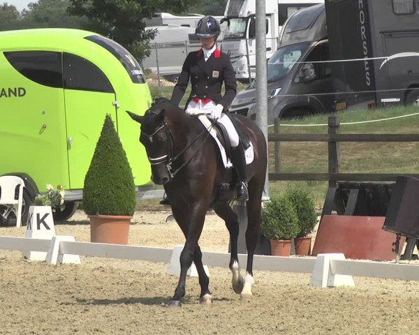 CDI**** Leudelange (LUX) 2018