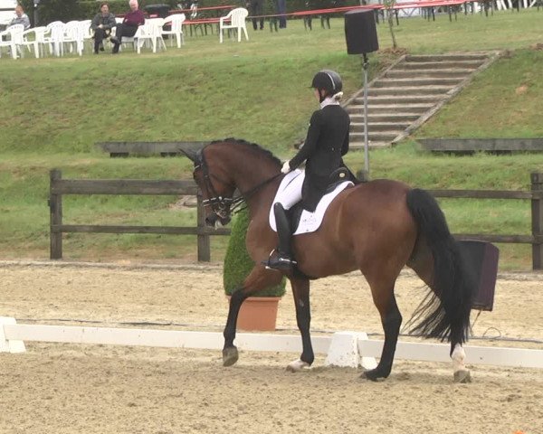 CDI**** Leudelange (LUX) 2018