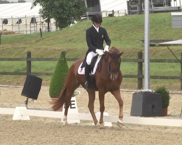 CDI**** Leudelange (LUX) 2018