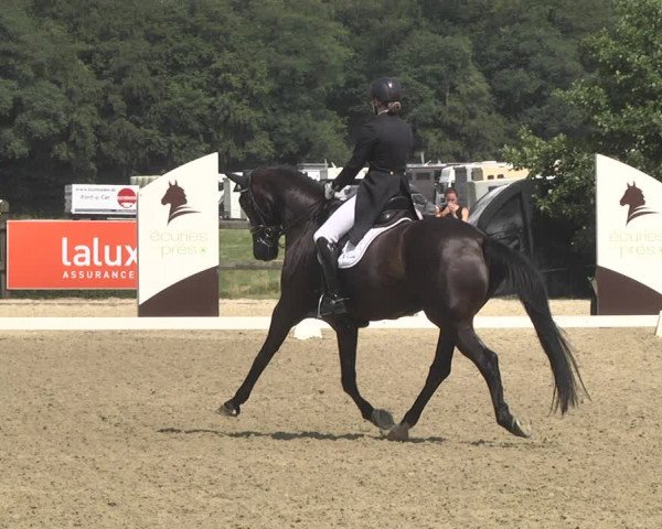 CDI**** Leudelange (LUX) 2018