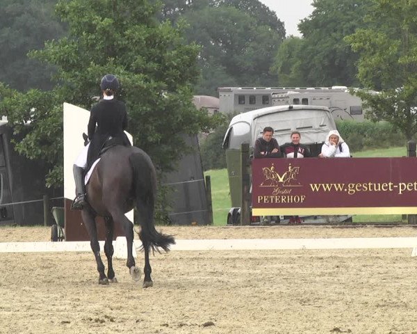 CDI**** Leudelange (LUX) 2018