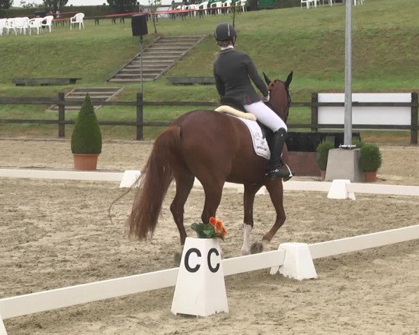 CDI**** Leudelange (LUX) 2018