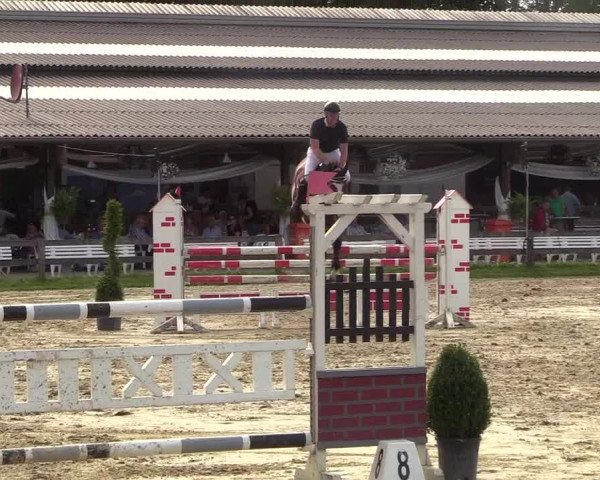 Reitturnier Münster-Roxel 2018