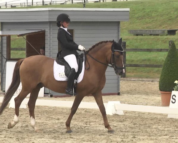 CDI**** Leudelange (LUX) 2018