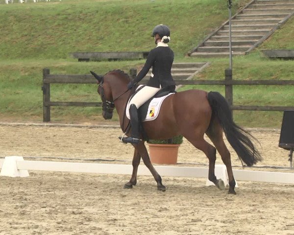 CDI**** Leudelange (LUX) 2018