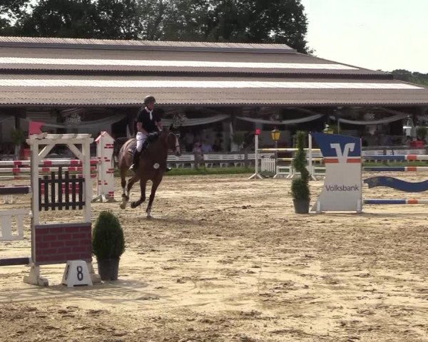Reitturnier Münster-Roxel 2018