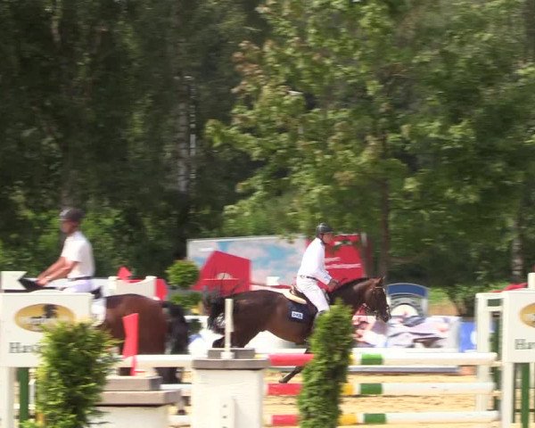 Reitturnier Münster-Roxel 2018
