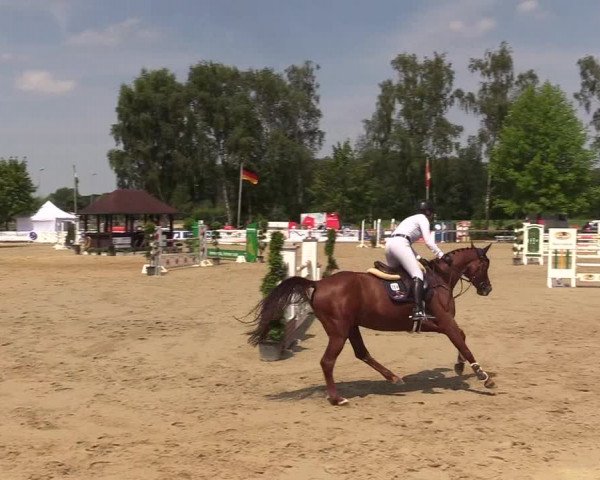Reitturnier Münster-Roxel 2018
