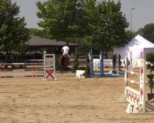 Reitturnier Münster-Roxel 2018