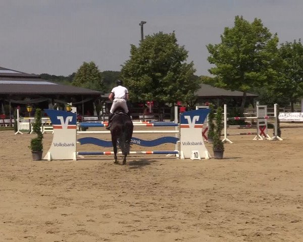 Reitturnier Münster-Roxel 2018