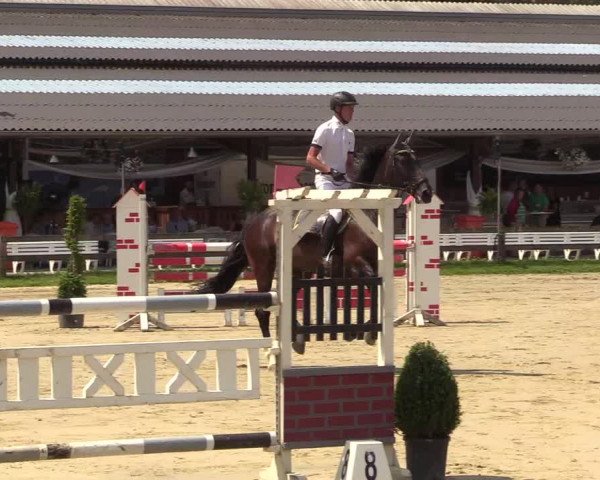 Reitturnier Münster-Roxel 2018