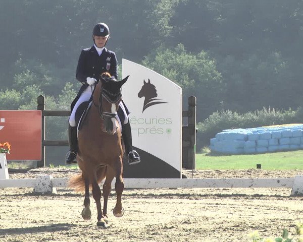 CDI**** Leudelange (LUX) 2018