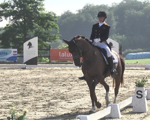 CDI**** Leudelange (LUX) 2018
