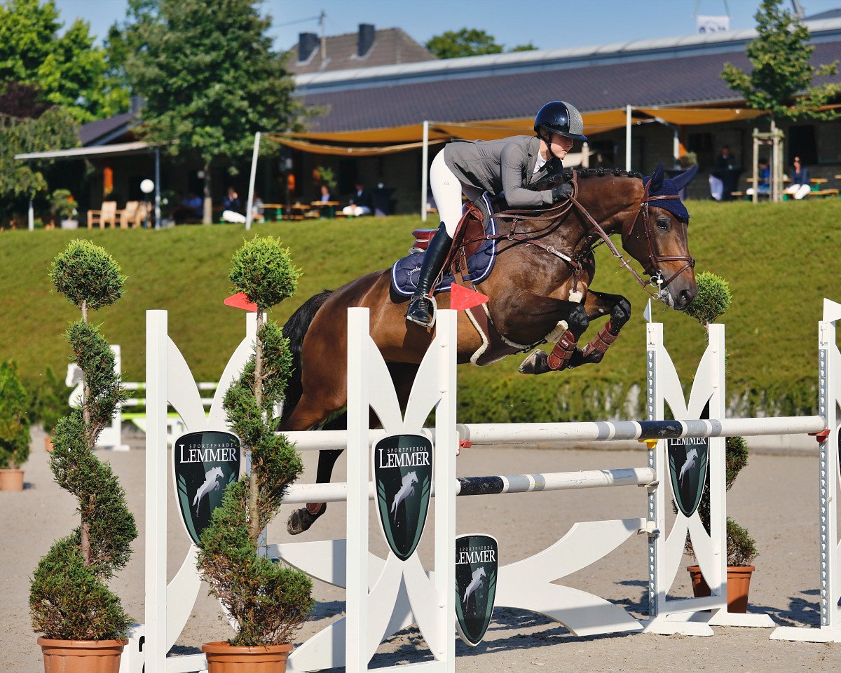 Springpferd Kannan Belle (Zangersheide Reitpferd, 2013, von Kannan)