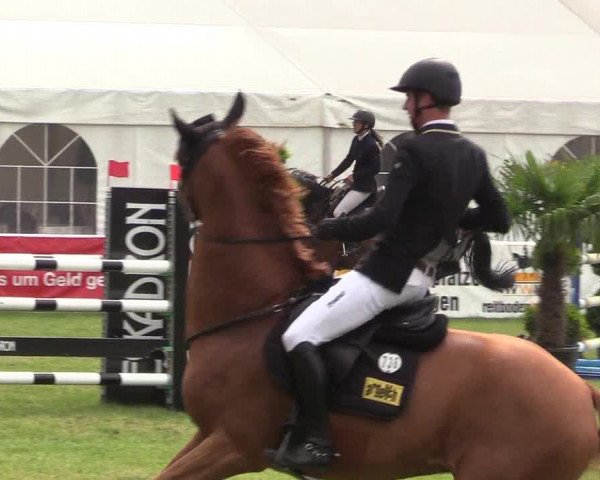 Steinhagener Reitertage 2018