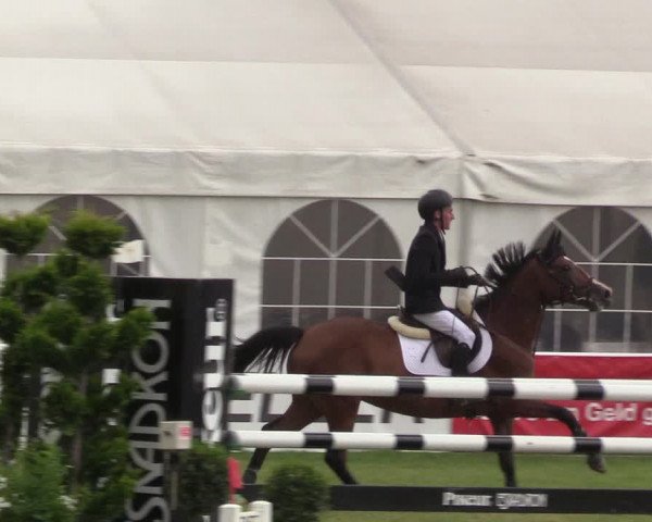Steinhagener Reitertage 2018