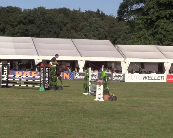 Steinhagener Reitertage 2018