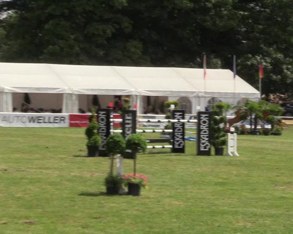 Steinhagener Reitertage 2018