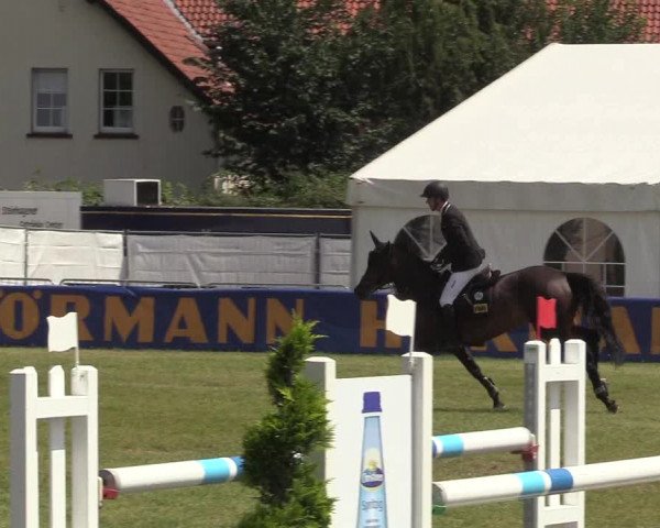 Steinhagener Reitertage 2018