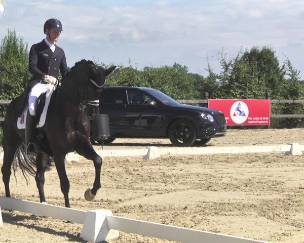 CDI**** Leudelange (LUX) 2018