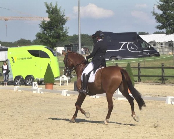 CDI**** Leudelange (LUX) 2018