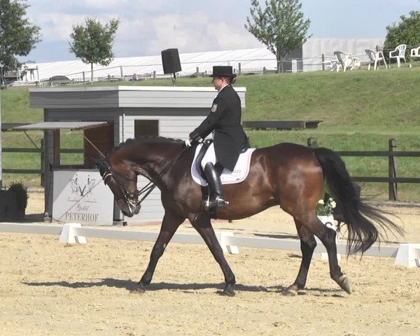 CDI**** Leudelange (LUX) 2018