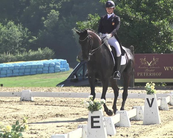 CDI**** Leudelange (LUX) 2018