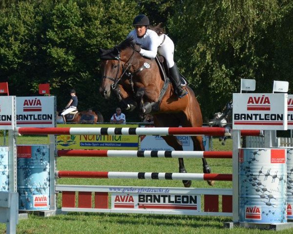 broodmare Capaya 2 (Westphalian, 2003, from Collin L)