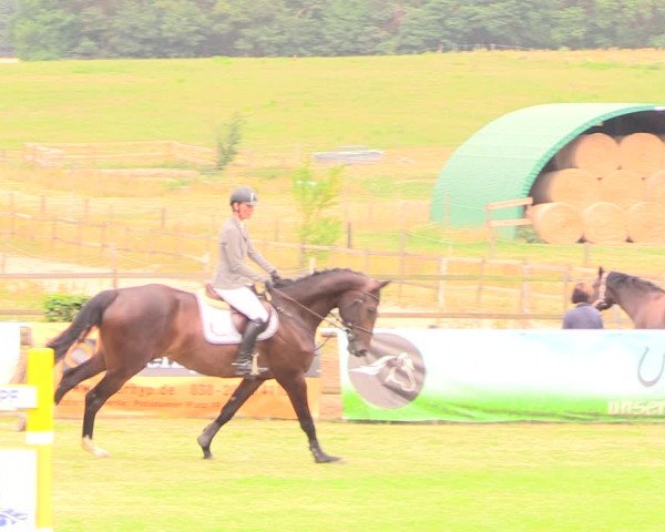 Reitturnier Ebreichsdorf 2018