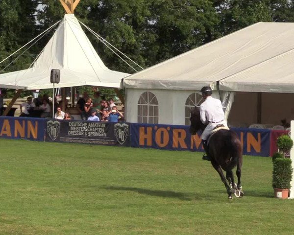 Steinhagener Reitertage 2018
