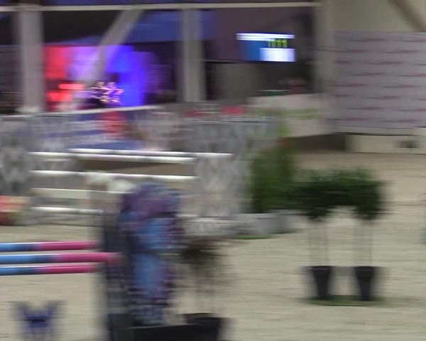 6. Nordic Jumping in Negernbötel 2021
