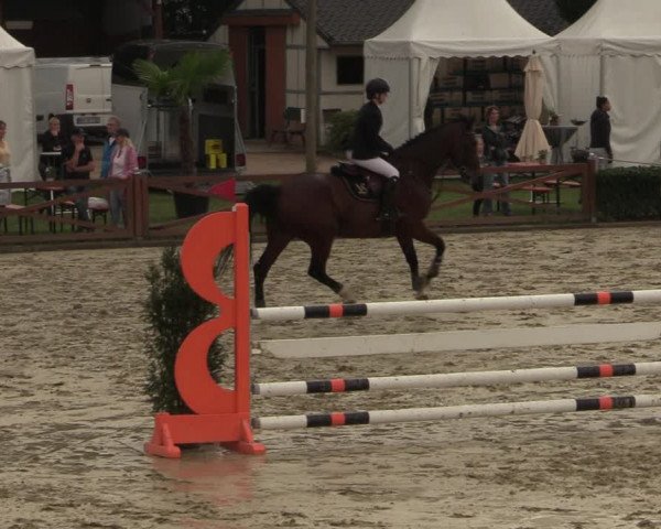 Equus Colonius - Reitanlage Brüse Köln 2021