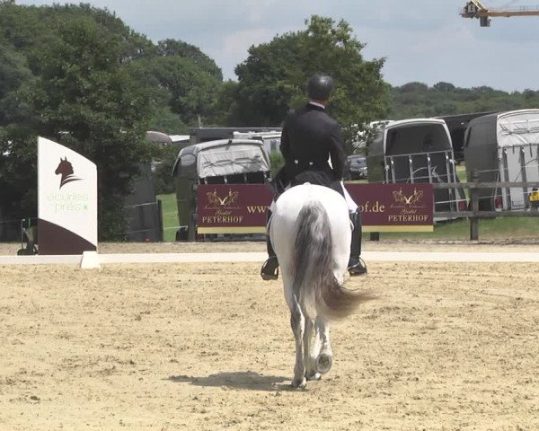 CDI**** Leudelange (LUX) 2018