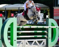 jumper Figlia Bella (KWPN (Royal Dutch Sporthorse), 2010, from Cicero Z van Paemel)