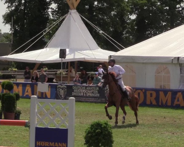 Steinhagener Reitertage 2018