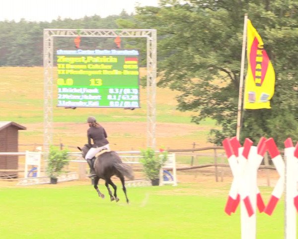 Reitturnier Ebreichsdorf 2018