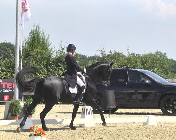 CDI**** Leudelange (LUX) 2018