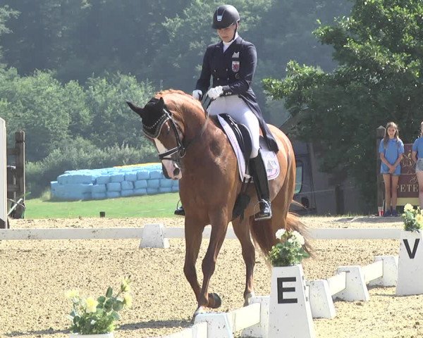 CDI**** Leudelange (LUX) 2018
