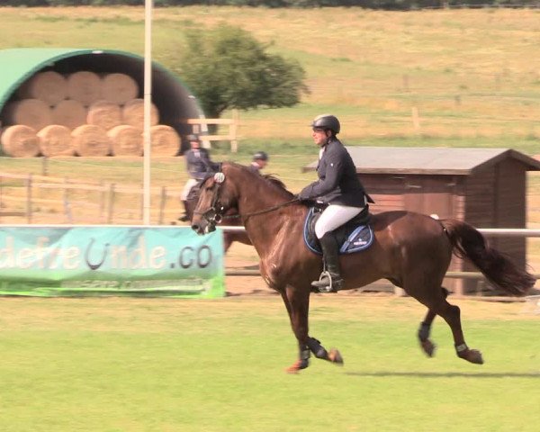 Reitturnier Ebreichsdorf 2018