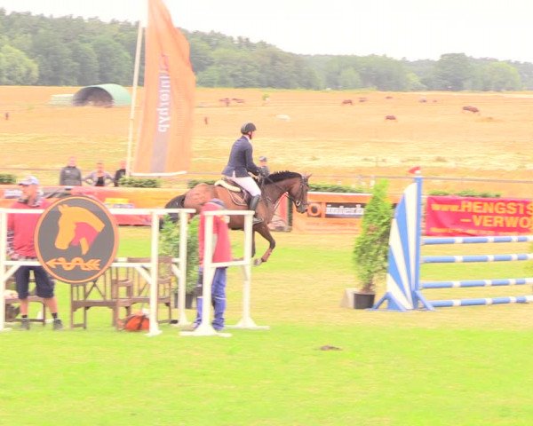 Reitturnier Ebreichsdorf 2018