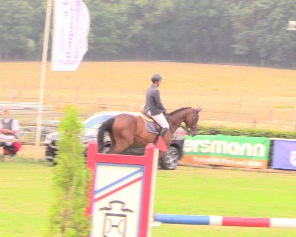 Reitturnier Ebreichsdorf 2018